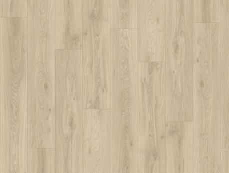 Blackjack Oak 22215