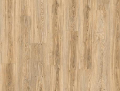 Blackjack Oak 22220