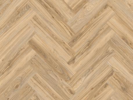 Blackjack Oak 22220