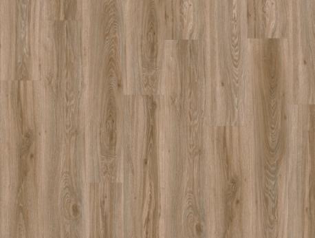 Blackjack Oak 22229