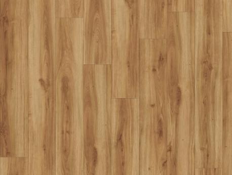 Classic Oak 24235