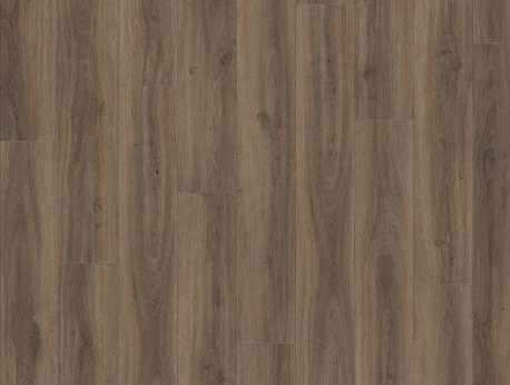 Classic Oak 24864