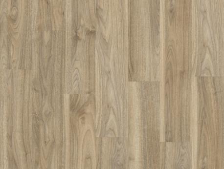 English Walnut 20226