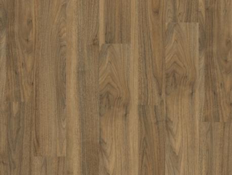 English Walnut 20565
