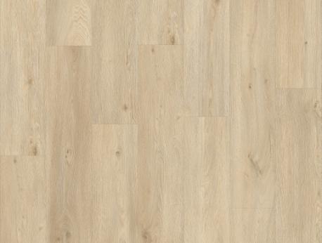 Galtymore Oak 86237