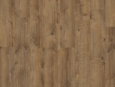 Galway Oak 87832