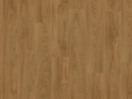 Laurel Oak 51822