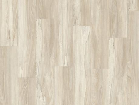 Marsh Wood 22248