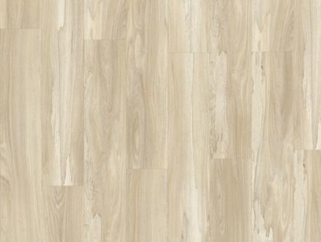 Marsh Wood 22326
