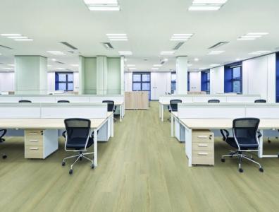 wood start spc