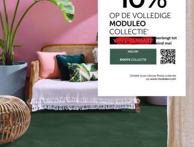 moduleo