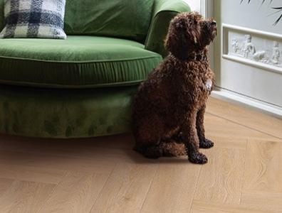 moduleo galtymore oak