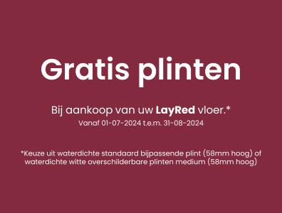 Gratis Plinten Actie
