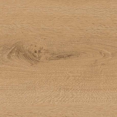 oak darwin