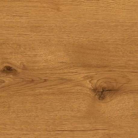 Oak Rockhampton