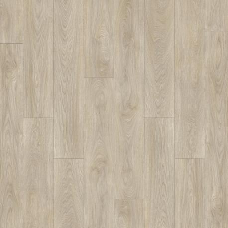 Laurel Oak 51222