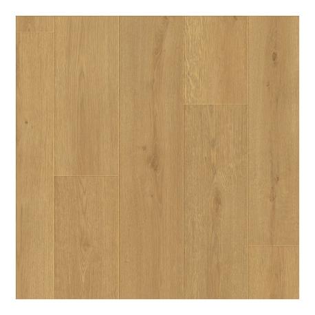 04694 OTIUM Dahlia sand