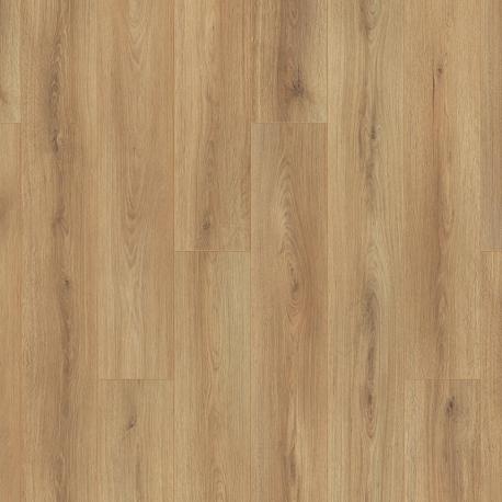 03440 OTIUM Amber taupe