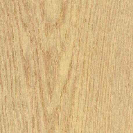 03444 OTIUM Calyx mist
