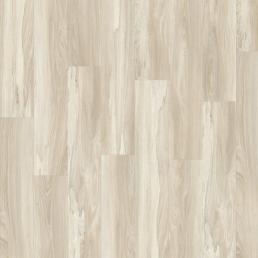 Marsh Wood 22248