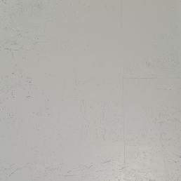 P06